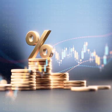 Economics and data visualization representing professional interests