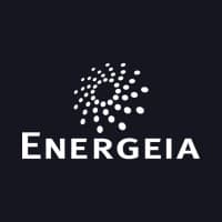 Energeia logo representing consulting experience